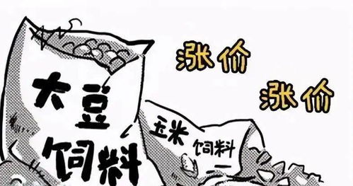 飼料漲,豬價跌,養(yǎng)豬巨頭卻在瘋狂建場,難道豬市有變