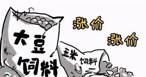 豬價12月上漲10.7 ,1月是漲是跌 三個因素已將豬價定調(diào)