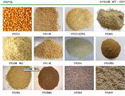 求購玉米小麥大豆高粱麩皮次粉等飼料原料