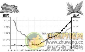 飼料原料價格匯總 豬肉價三伏天貴過正月里 經(jīng)銷商請養(yǎng)殖戶食 飯又送禮