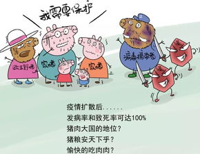 別慌 寧鄉暫無 非洲豬瘟 疫情