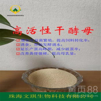 【酵素級飼用發(fā)酵劑發(fā)酵快提高飼料利用率工業(yè)飼料添加劑干酵母廠家直銷】-