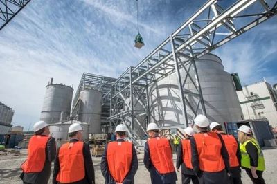 DSM、贏創開啟魚油替代品量化生產,向消費者和業內積極推廣