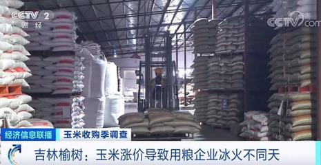 一噸漲200元?玉米收購價普漲,農戶卻不愿意賣?!有人準備囤到明年,為啥?