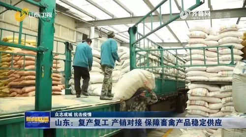 山東 復產復工 產銷對接 保障畜禽產品穩定供應
