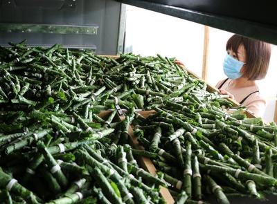 河北平泉:寵物飼料微工廠助脫貧