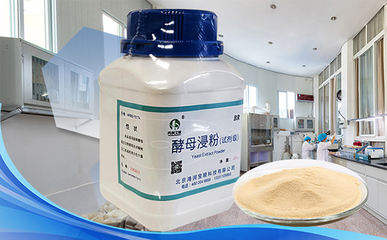 酵母粉、酵母提取物、酵母浸粉和酵母浸膏的區別您知道嗎?
