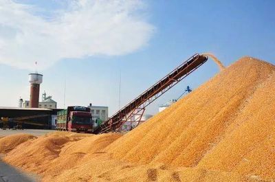 2021年山東飼料總產量4476.3萬噸,7家飼企產量超100萬噸.