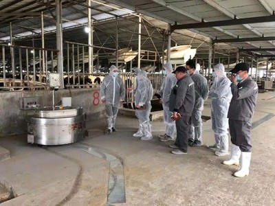 推動奶業振興,助力健康中國!衛崗乳業順利通過優質乳工程復審!