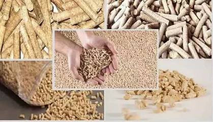 上半年豬料產量增長10.4%,原料價格上漲超過10%,豬價今后是漲還是跌?