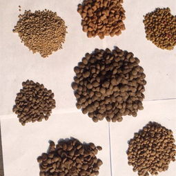 【熱銷多功能飼料膨化機廠家寵物食品機魚飼料顆粒膨化機】- 