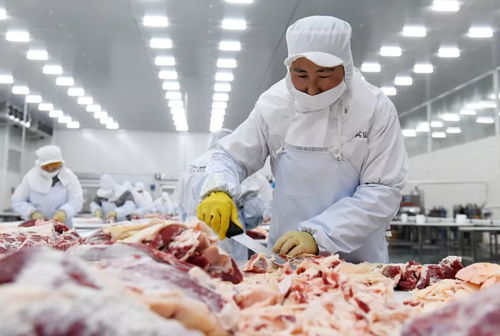 農業農村部 不得以防疫為由攔截這三種車輛