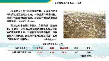 豆渣為原料生產大豆糖肽及產品簡介