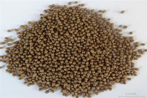 綿陽魚飼料膨化機(jī)廠家電話