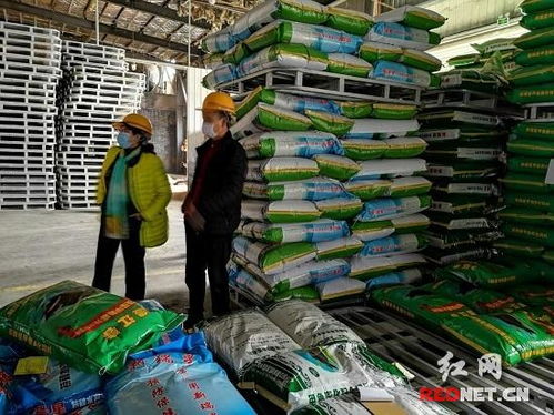 褚新年督導企業復工復產及疫情防控工作