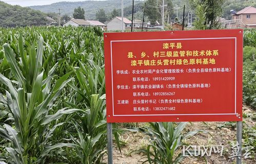 河北省獲批全國綠色食品原料標準化生產(chǎn)基地達到10個鳳凰網(wǎng)河北 鳳凰網(wǎng)