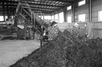農(nóng)田秸稈制成 全降解地膜用纖維材料